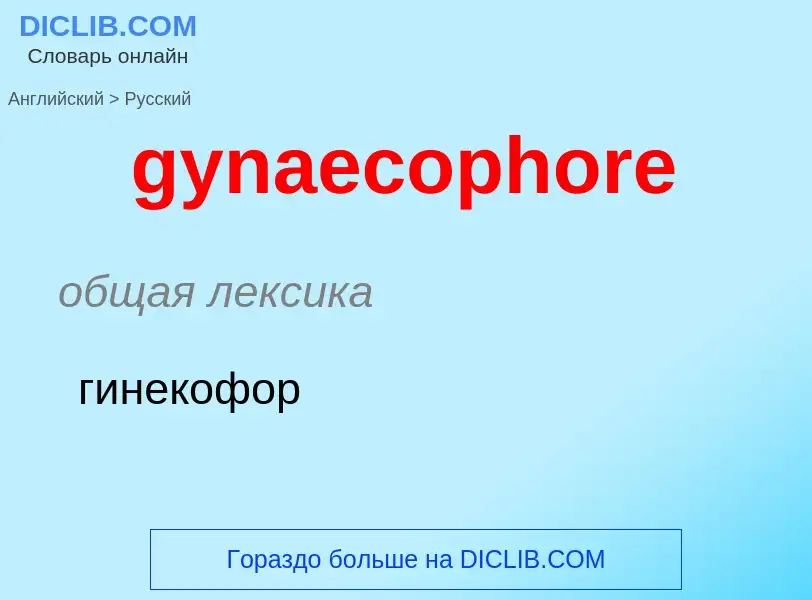 Como se diz gynaecophore em Russo? Tradução de &#39gynaecophore&#39 em Russo