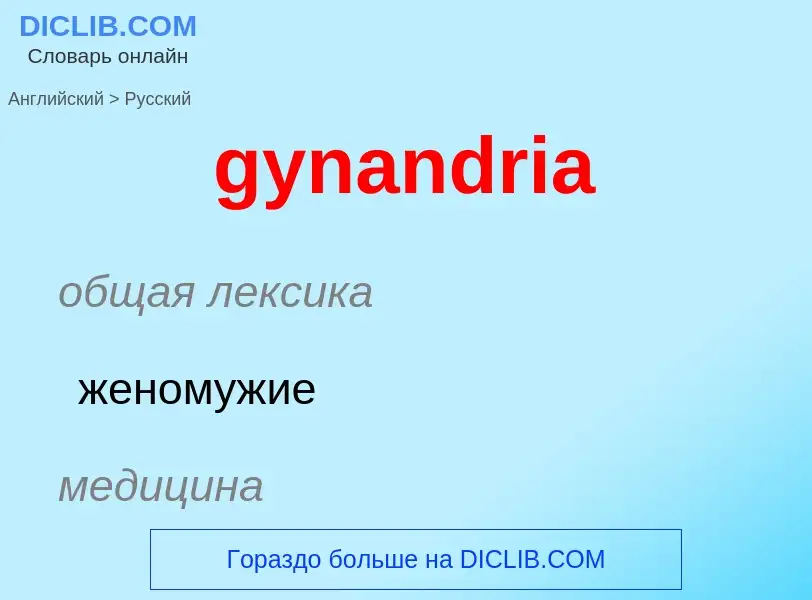 Como se diz gynandria em Russo? Tradução de &#39gynandria&#39 em Russo