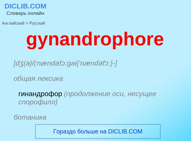 Como se diz gynandrophore em Russo? Tradução de &#39gynandrophore&#39 em Russo