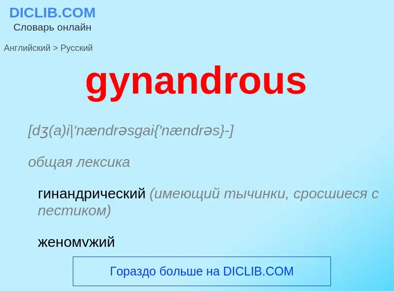 Como se diz gynandrous em Russo? Tradução de &#39gynandrous&#39 em Russo