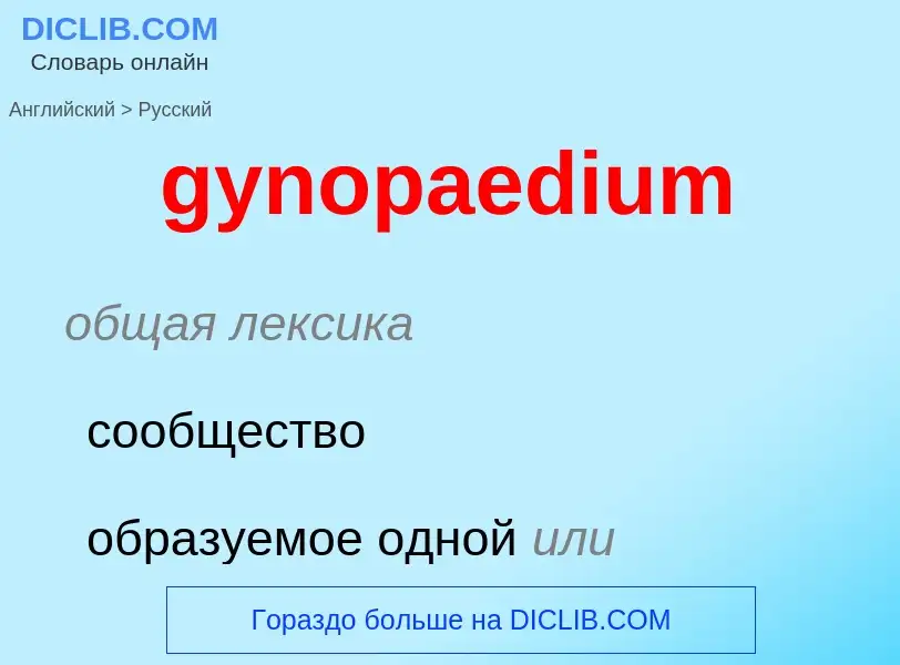 Как переводится gynopaedium на Русский язык