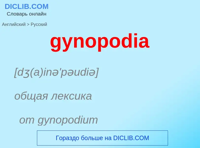 Как переводится gynopodia на Русский язык