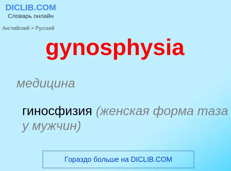 Как переводится gynosphysia на Русский язык