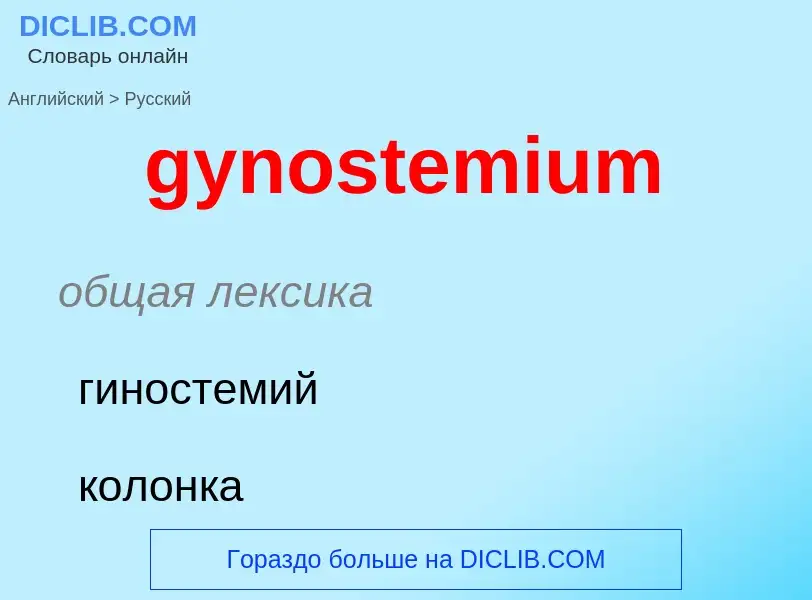 Как переводится gynostemium на Русский язык