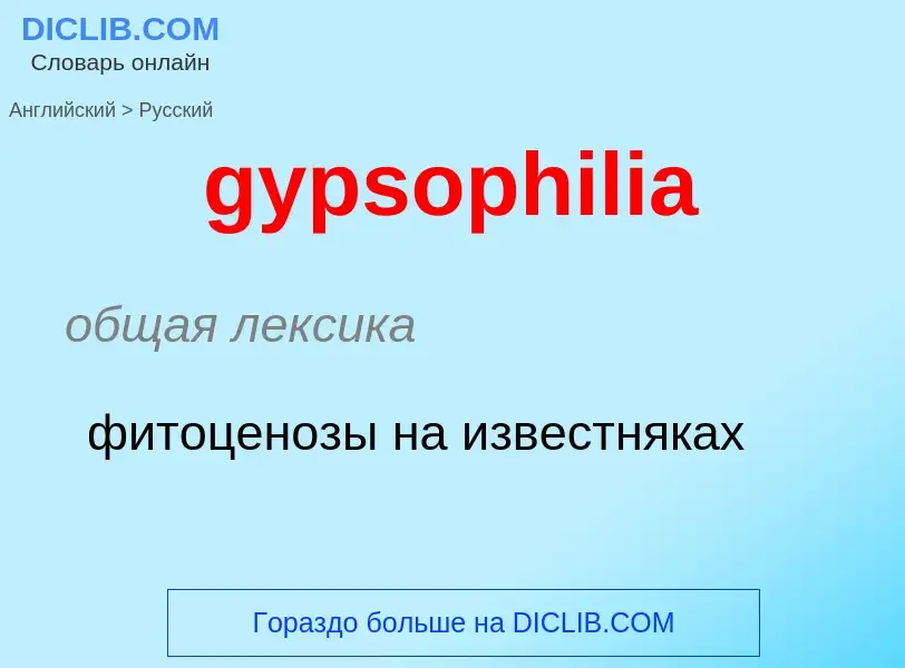 Как переводится gypsophilia на Русский язык