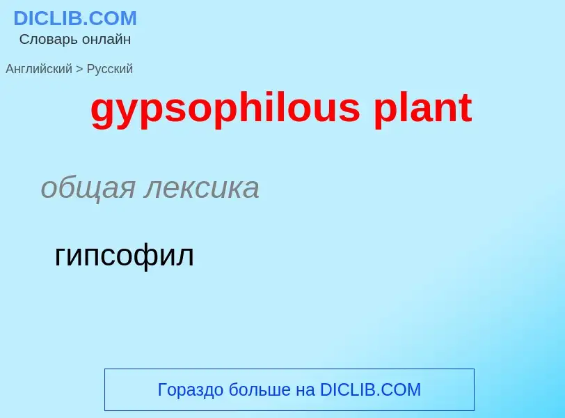 Как переводится gypsophilous plant на Русский язык