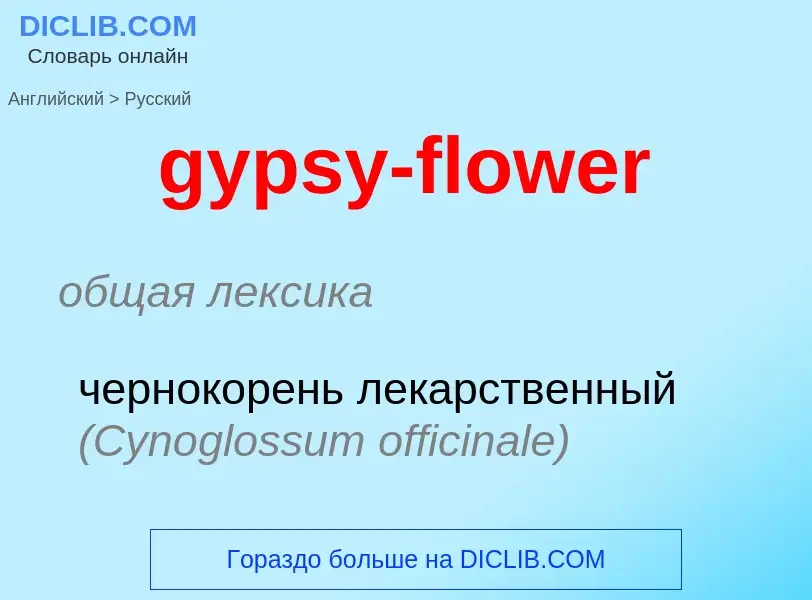 Как переводится gypsy-flower на Русский язык