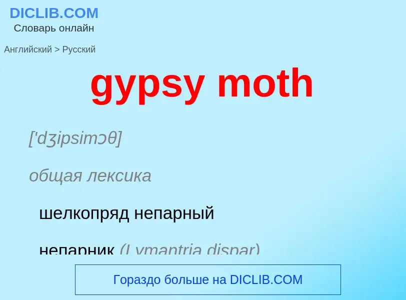 Как переводится gypsy moth на Русский язык