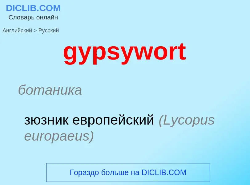 Μετάφραση του &#39gypsywort&#39 σε Ρωσικά