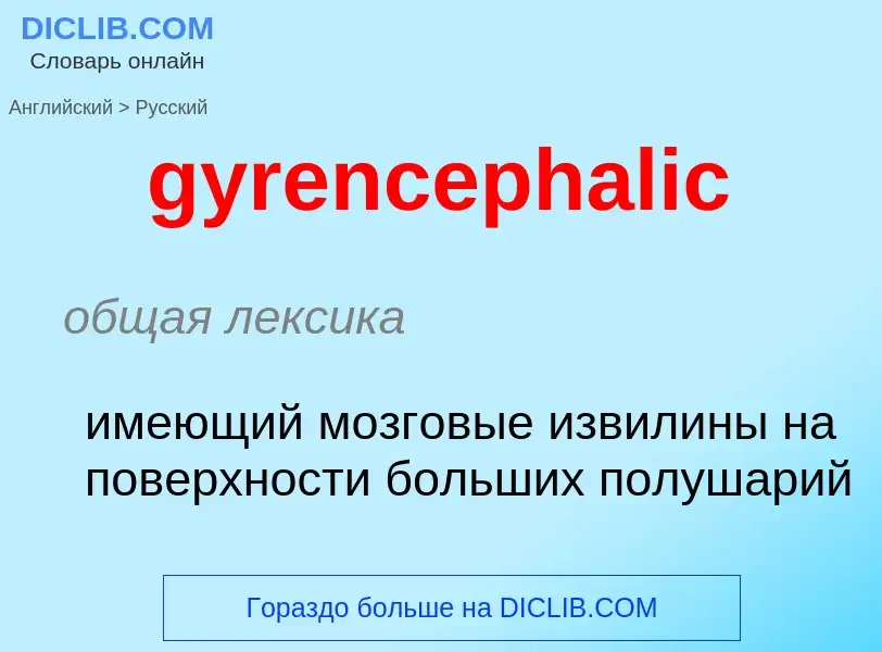 What is the Russian for gyrencephalic? Translation of &#39gyrencephalic&#39 to Russian