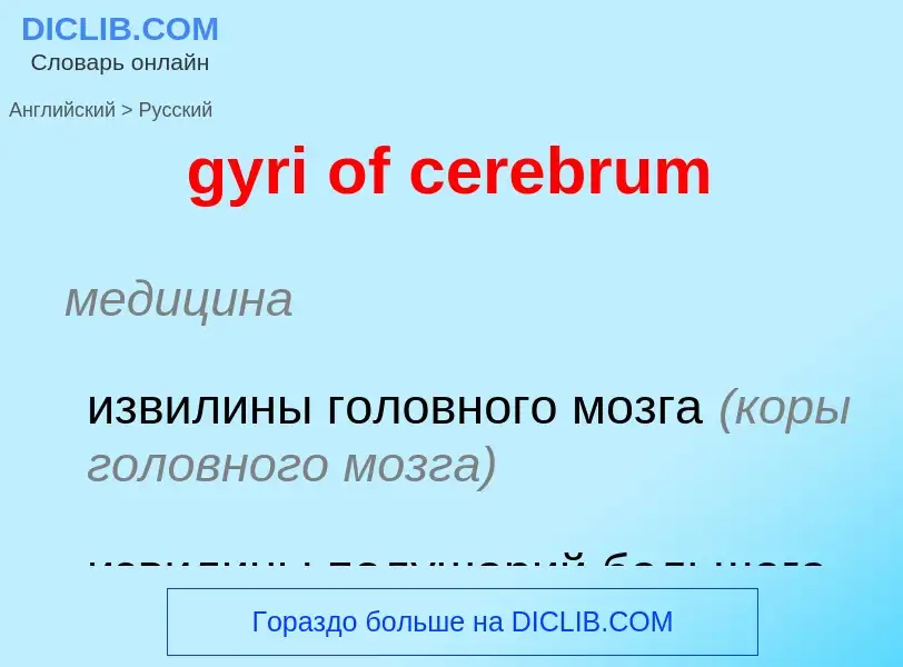 Μετάφραση του &#39gyri of cerebrum&#39 σε Ρωσικά