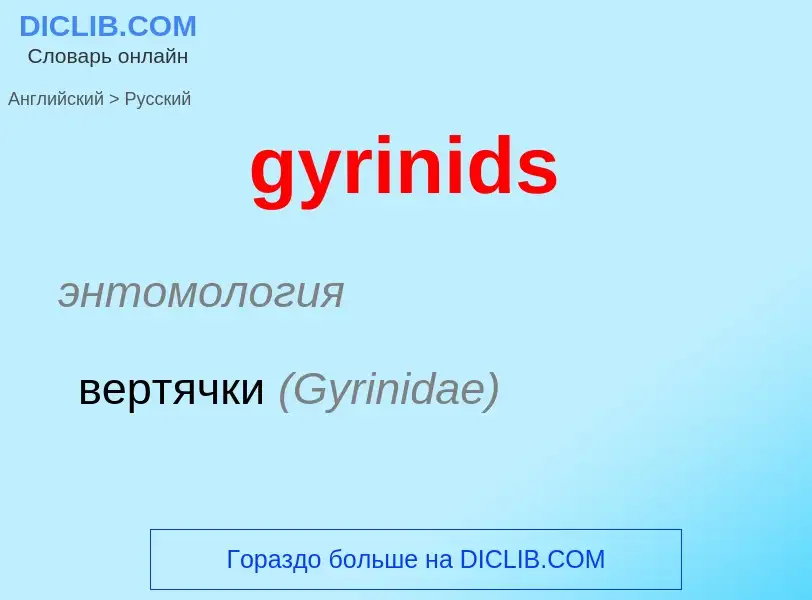 Μετάφραση του &#39gyrinids&#39 σε Ρωσικά