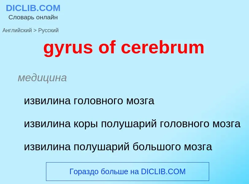 Μετάφραση του &#39gyrus of cerebrum&#39 σε Ρωσικά