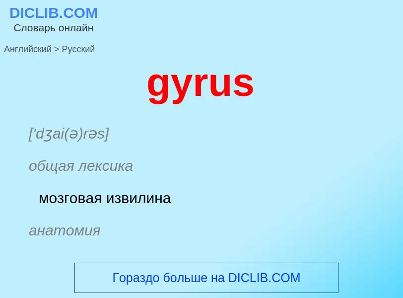 Μετάφραση του &#39gyrus&#39 σε Ρωσικά