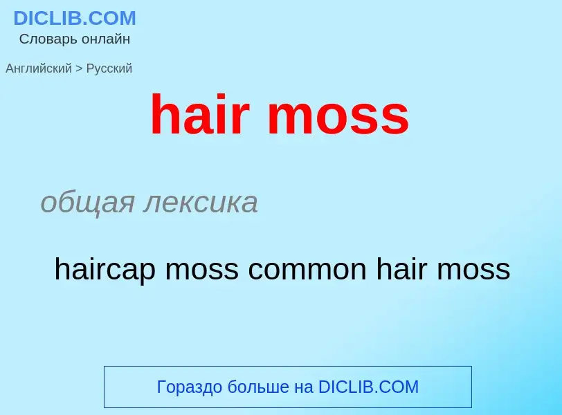 Как переводится hair moss на Русский язык