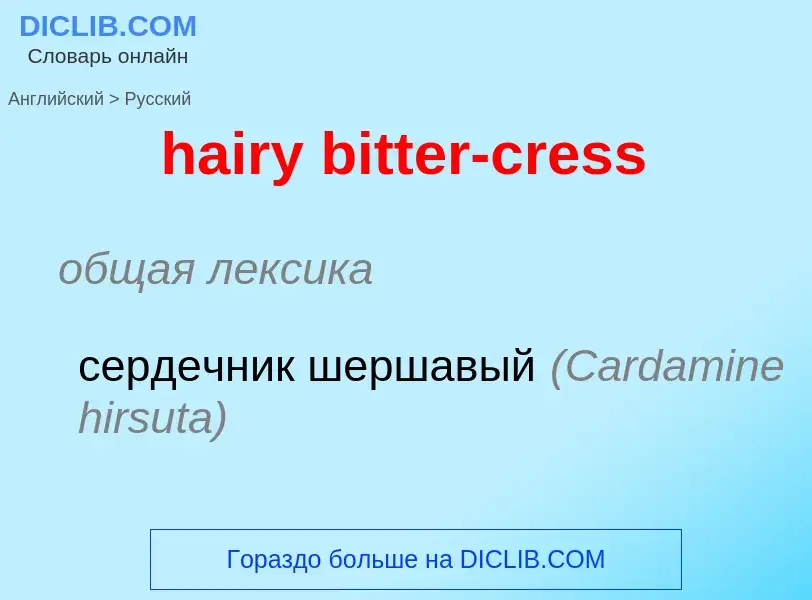 ¿Cómo se dice hairy bitter-cress en Ruso? Traducción de &#39hairy bitter-cress&#39 al Ruso