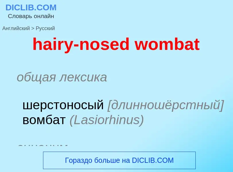 Как переводится hairy-nosed wombat на Русский язык