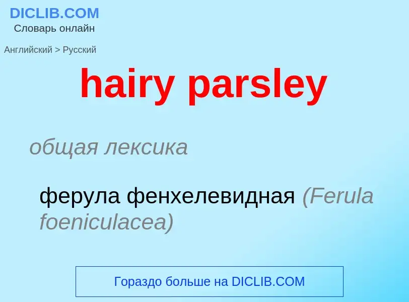 What is the Russian for hairy parsley? Translation of &#39hairy parsley&#39 to Russian