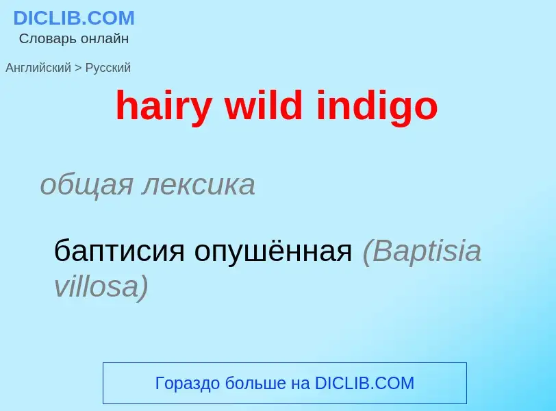 Vertaling van &#39hairy wild indigo&#39 naar Russisch