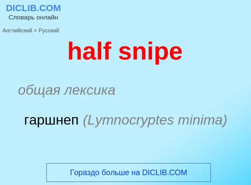 Как переводится half snipe на Русский язык