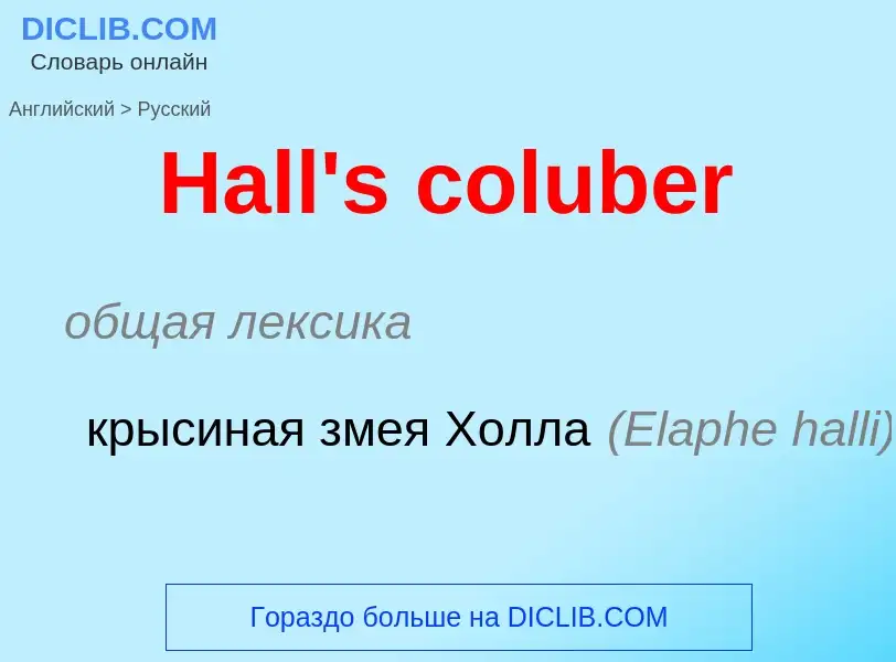 Como se diz Hall's coluber em Russo? Tradução de &#39Hall's coluber&#39 em Russo