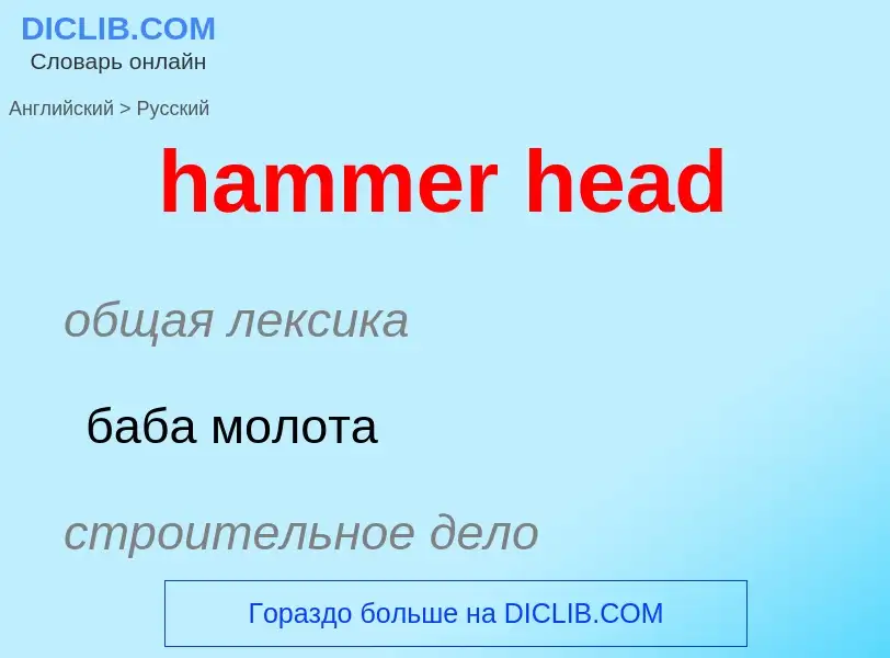 Как переводится hammer head на Русский язык