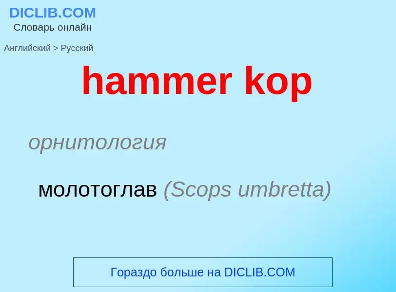 Как переводится hammer kop на Русский язык