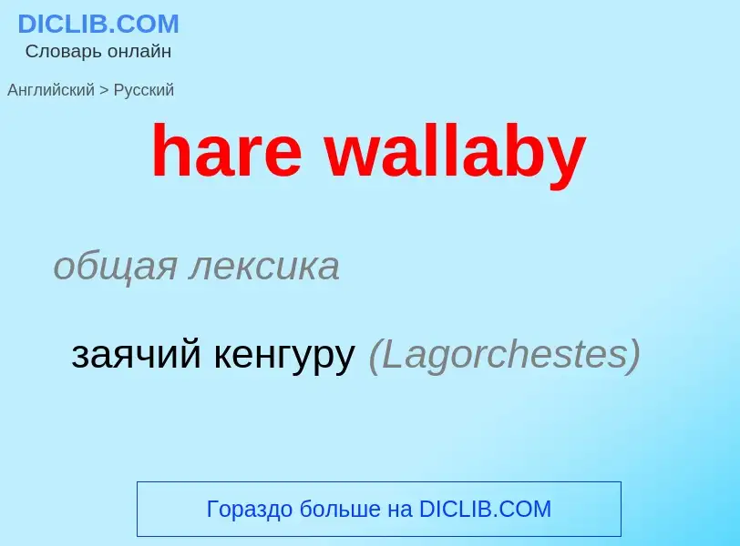 Как переводится hare wallaby на Русский язык