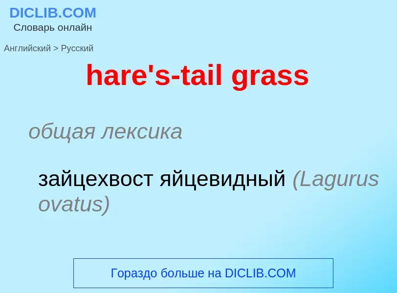 ¿Cómo se dice hare's-tail grass en Ruso? Traducción de &#39hare's-tail grass&#39 al Ruso