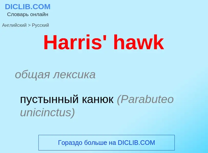 Как переводится Harris' hawk на Русский язык