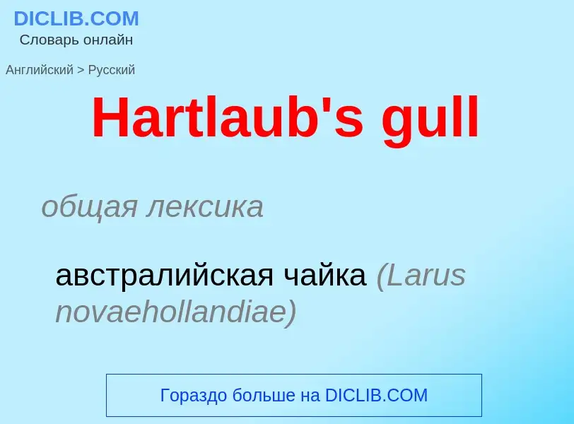 Como se diz Hartlaub's gull em Russo? Tradução de &#39Hartlaub's gull&#39 em Russo