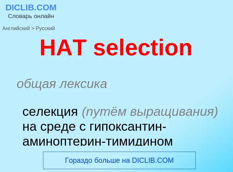 Como se diz HAT selection em Russo? Tradução de &#39HAT selection&#39 em Russo