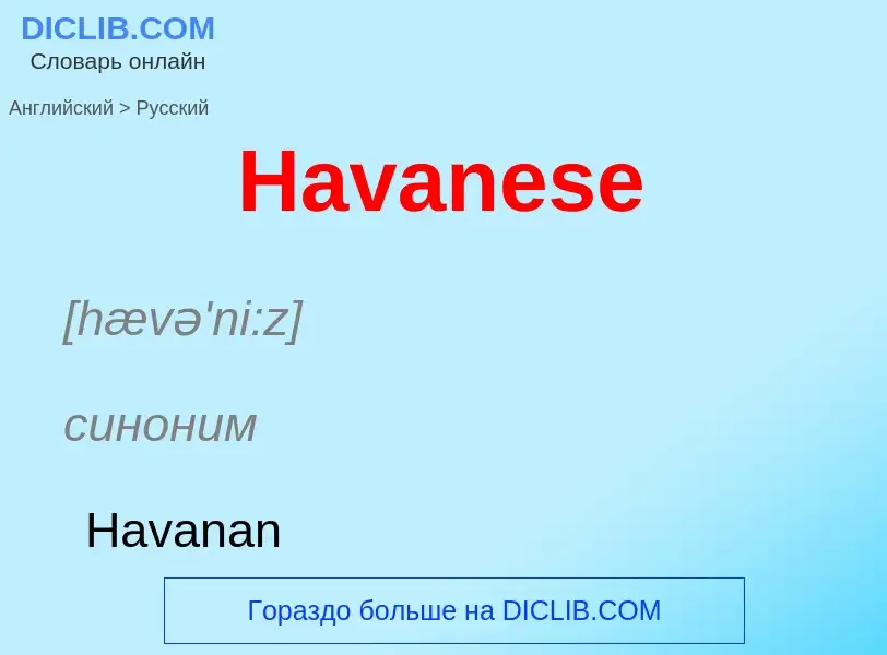 Как переводится Havanese на Русский язык