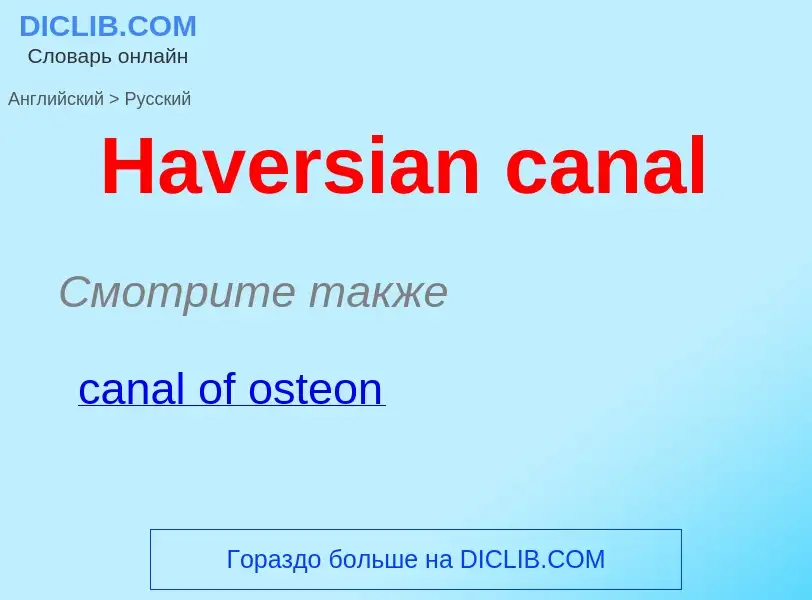 Как переводится Haversian canal на Русский язык