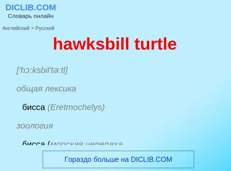 What is the الروسية for hawksbill turtle? Translation of &#39hawksbill turtle&#39 to الروسية