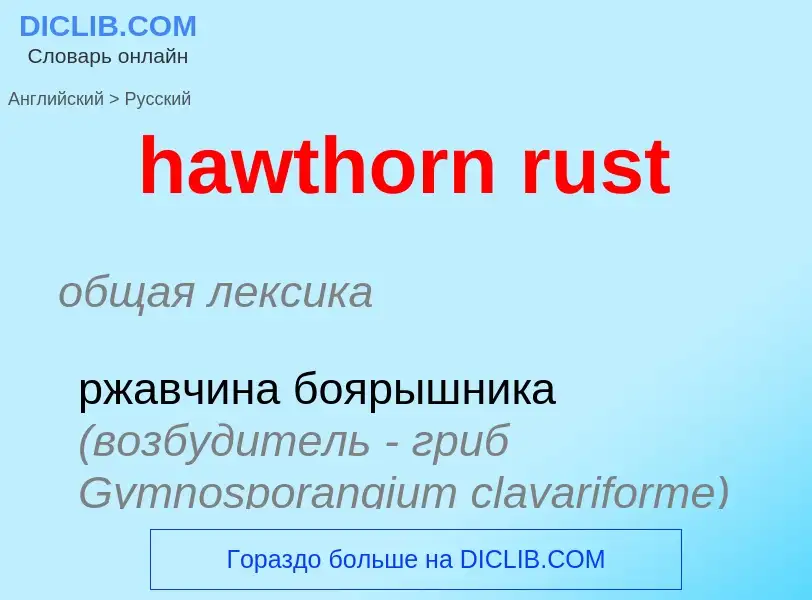 Μετάφραση του &#39hawthorn rust&#39 σε Ρωσικά