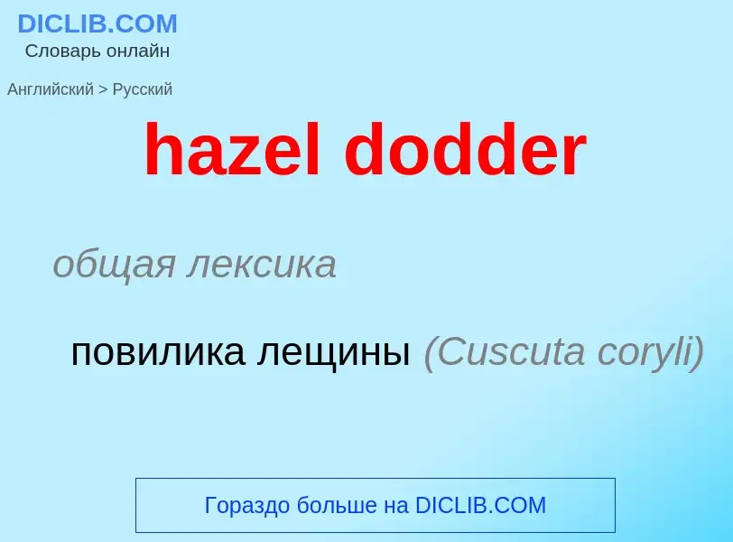 What is the Russian for hazel dodder? Translation of &#39hazel dodder&#39 to Russian