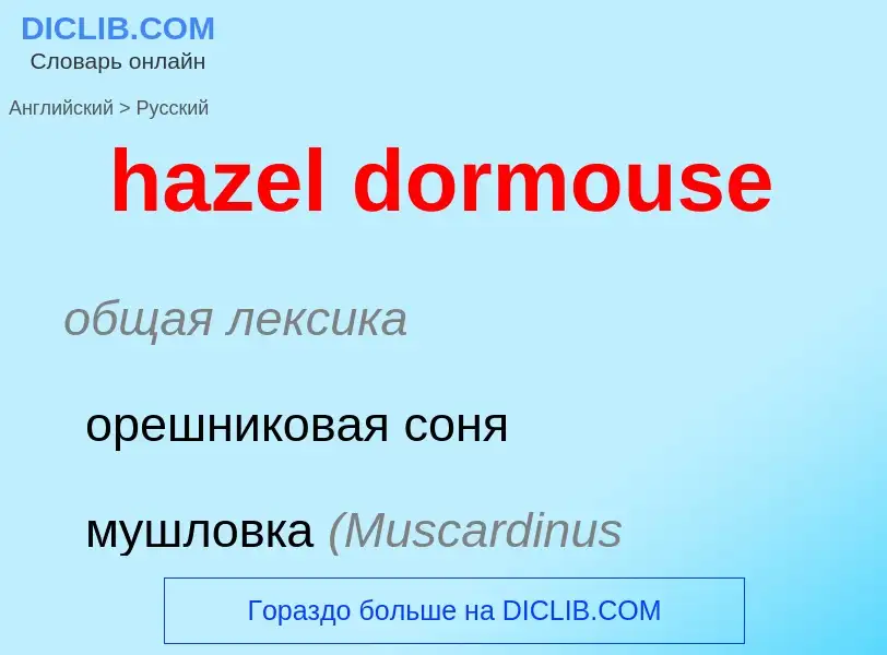 Μετάφραση του &#39hazel dormouse&#39 σε Ρωσικά