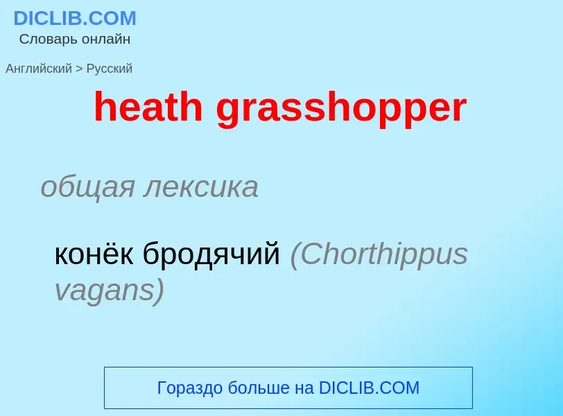 Как переводится heath grasshopper на Русский язык