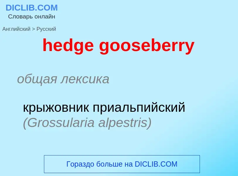 What is the Russian for hedge gooseberry? Translation of &#39hedge gooseberry&#39 to Russian