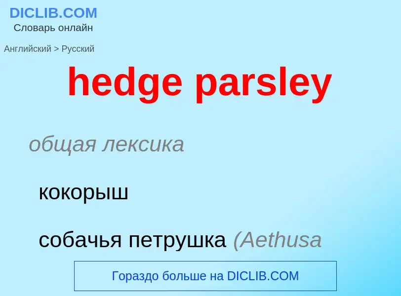 Как переводится hedge parsley на Русский язык