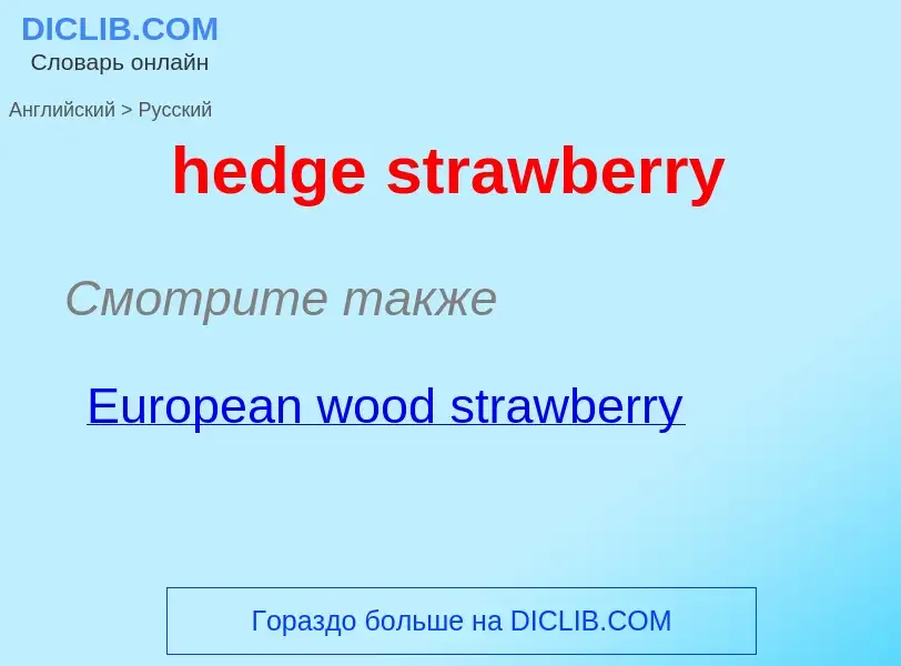 Как переводится hedge strawberry на Русский язык