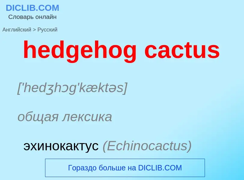 ¿Cómo se dice hedgehog cactus en Ruso? Traducción de &#39hedgehog cactus&#39 al Ruso