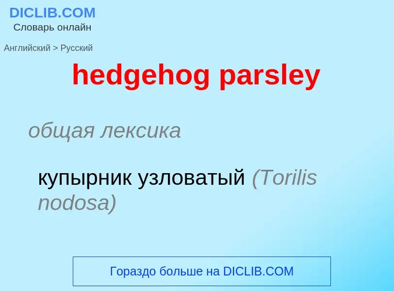 Как переводится hedgehog parsley на Русский язык