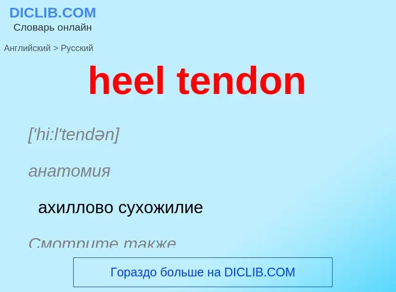 Как переводится heel tendon на Русский язык