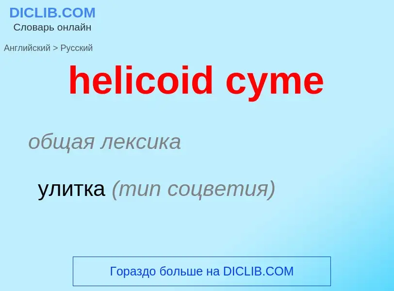 Как переводится helicoid cyme на Русский язык