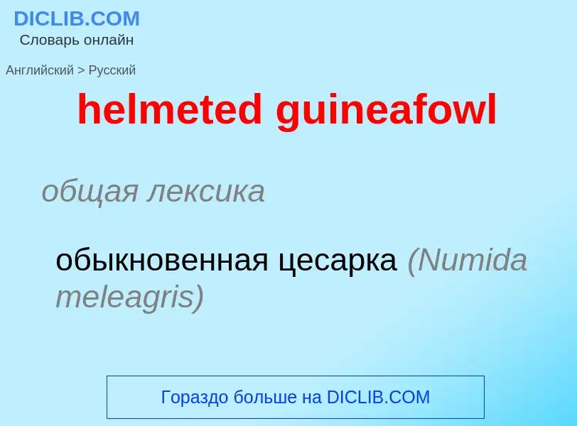 Vertaling van &#39helmeted guineafowl&#39 naar Russisch