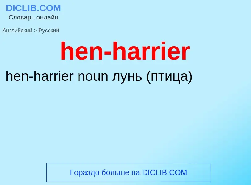 Como se diz hen-harrier em Russo? Tradução de &#39hen-harrier&#39 em Russo