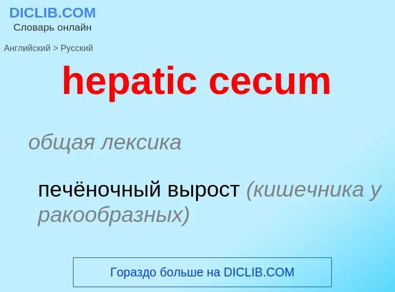 Como se diz hepatic cecum em Russo? Tradução de &#39hepatic cecum&#39 em Russo