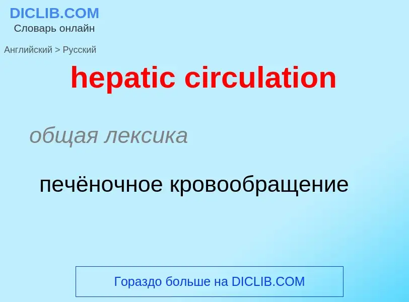 Как переводится hepatic circulation на Русский язык